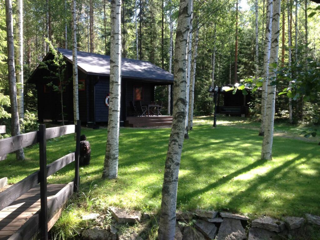 Kuva mökistä kauempaa. Kuvassa koivuja, joiden välistä mökki näkyy, sekä kauempana kuvassa savusauna.