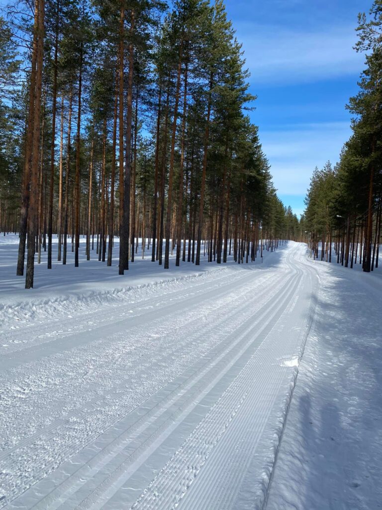 Kuva talvisesta metsästä. metsän keskellä tie ja tiellä molemmin puolin ladut.