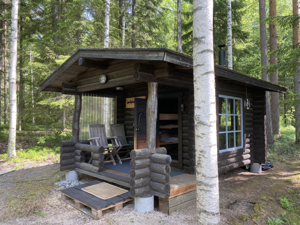 Kuva hirvisavusaunasta.